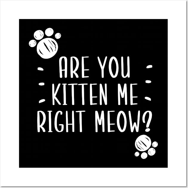 Are You Kitten Me Right Meow Wall Art by Health